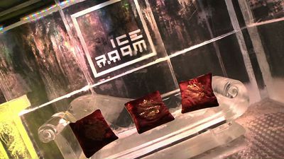 Restaurant Ice Room Bordeaux